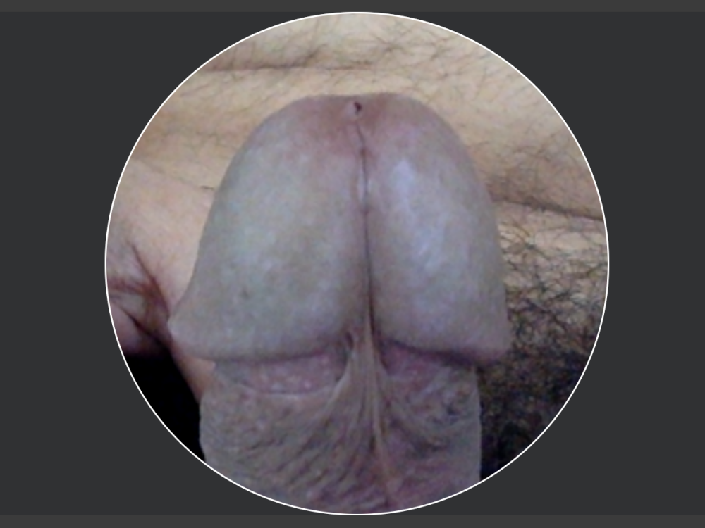 VideoArtist Chatroom