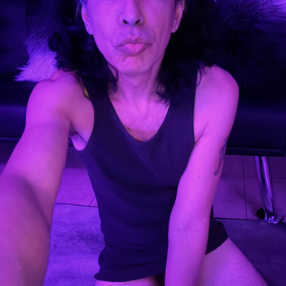 WolfTribe69 Chatroom