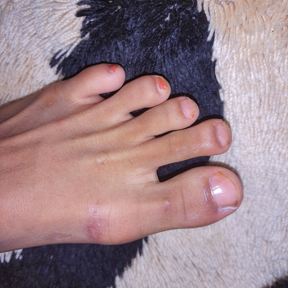 Yamamoto-Sado Chatroom