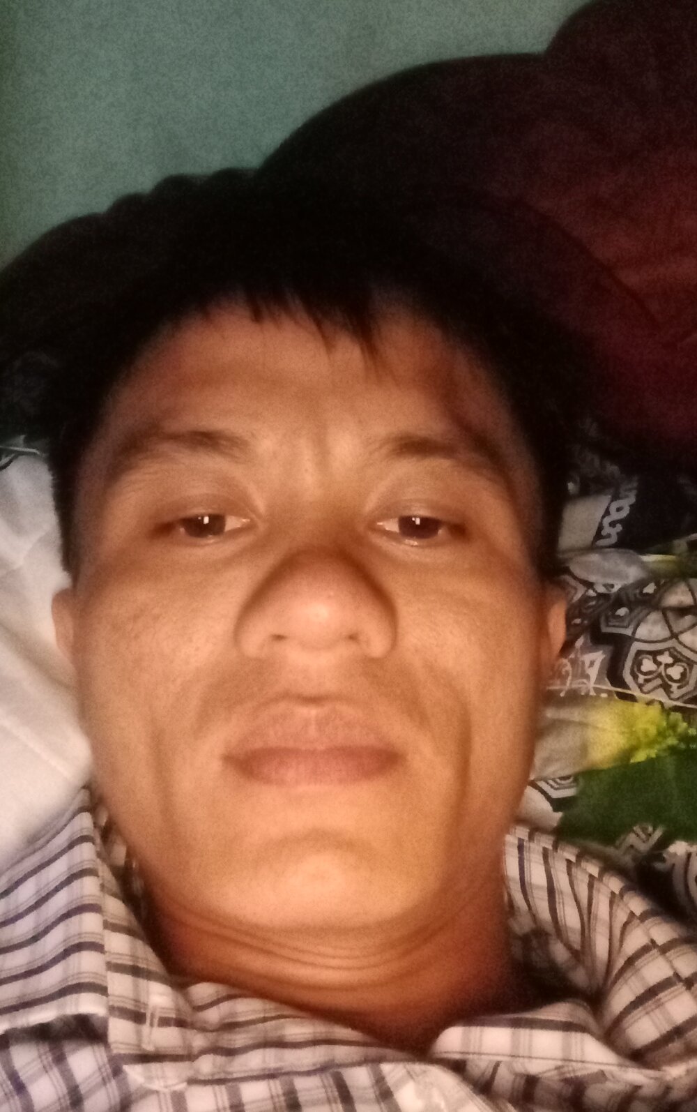 Zlaingo-cat000 Chatroom