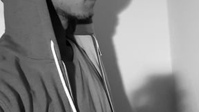 Zuchthengst_ErsteSahne