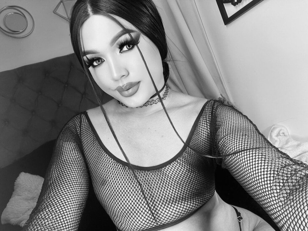 Zz_hornysTS_ Chatroom