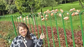 josefina