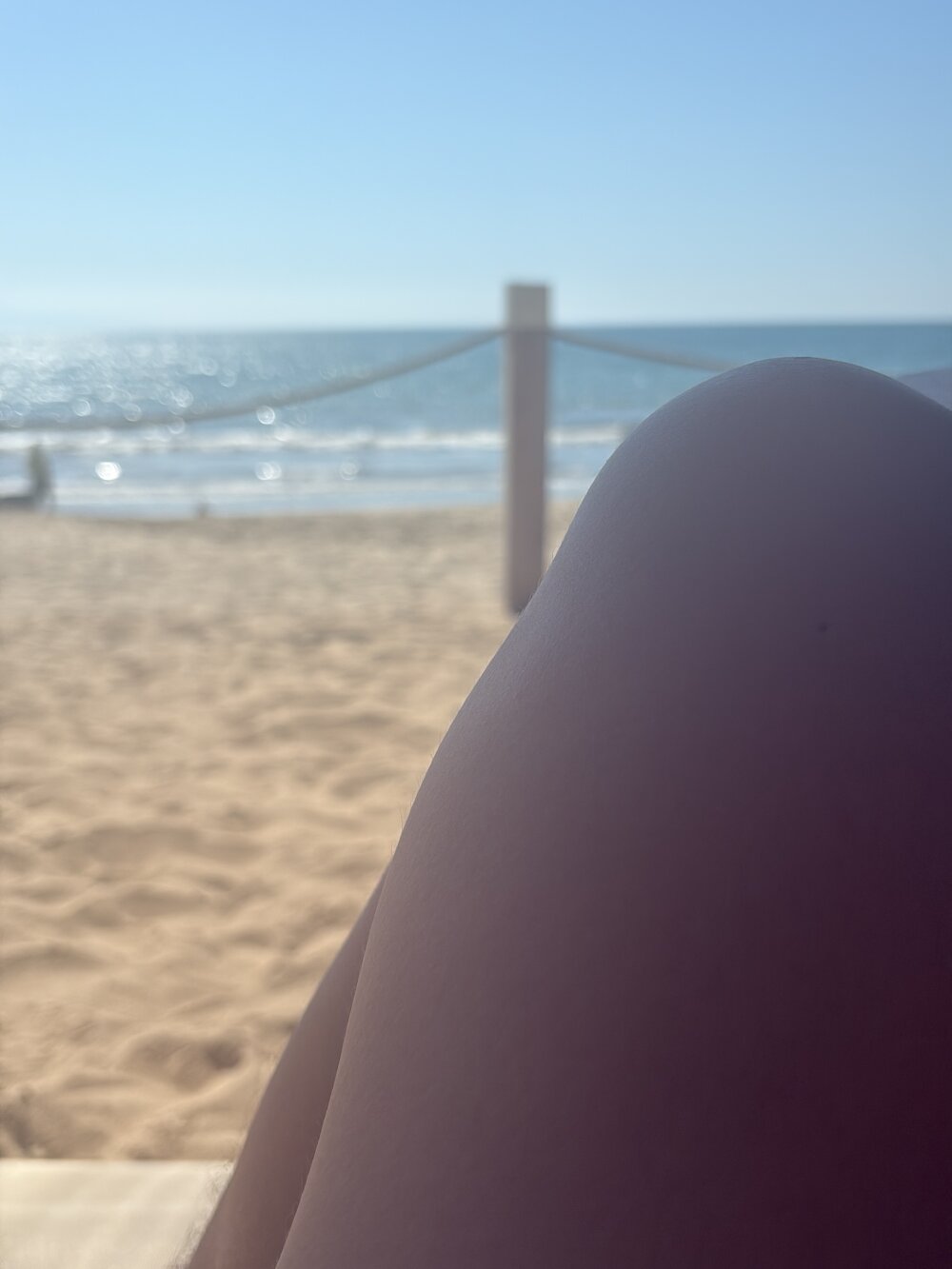 alexpereira817 Chatroom