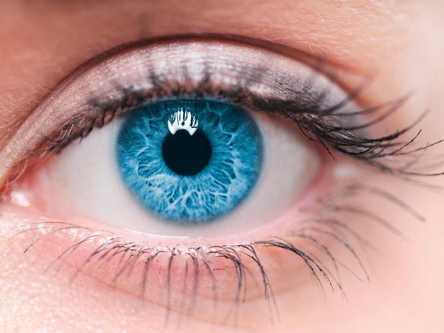 amanda_kiss_kiss Chatroom