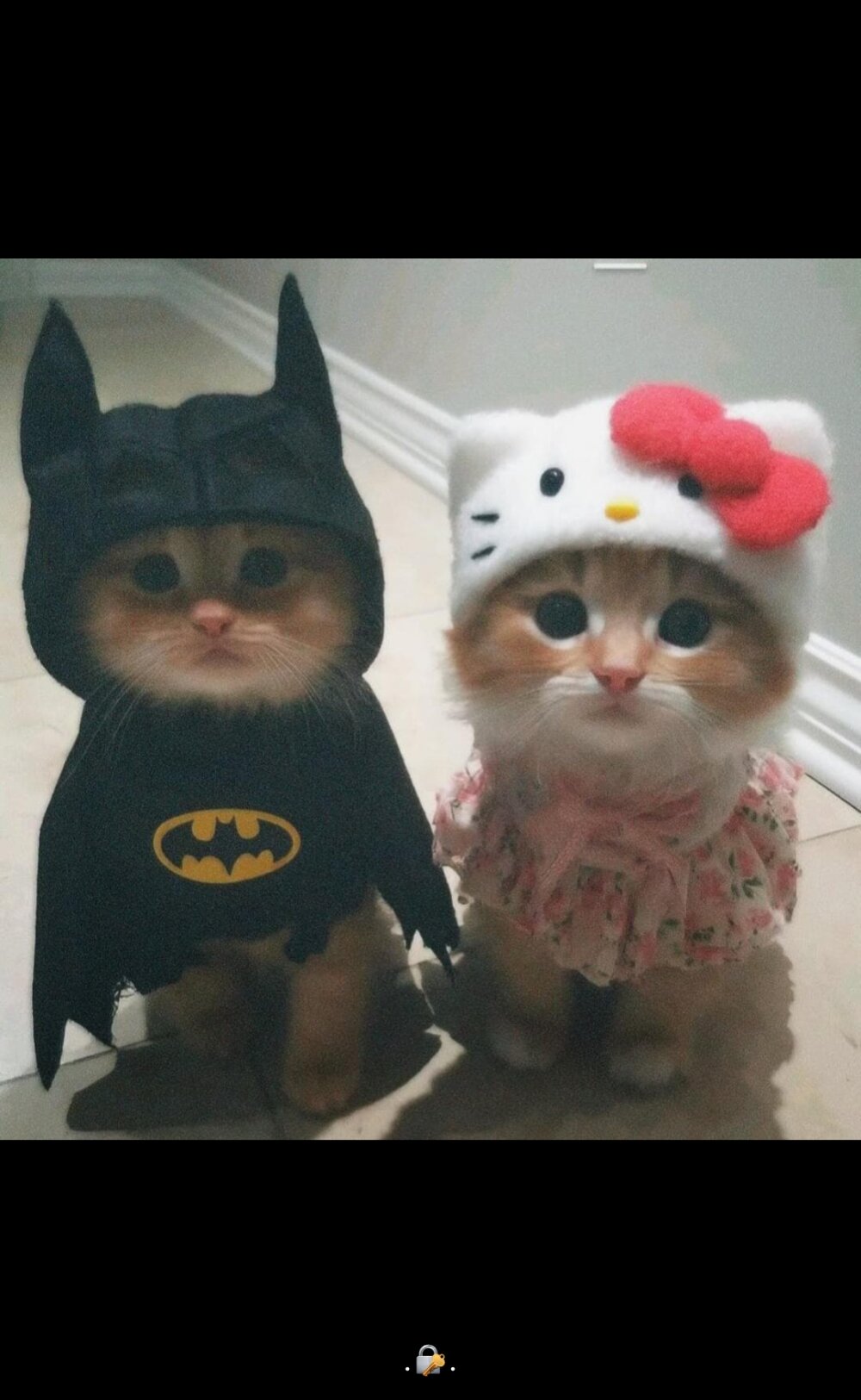 ashenerantha Chatroom