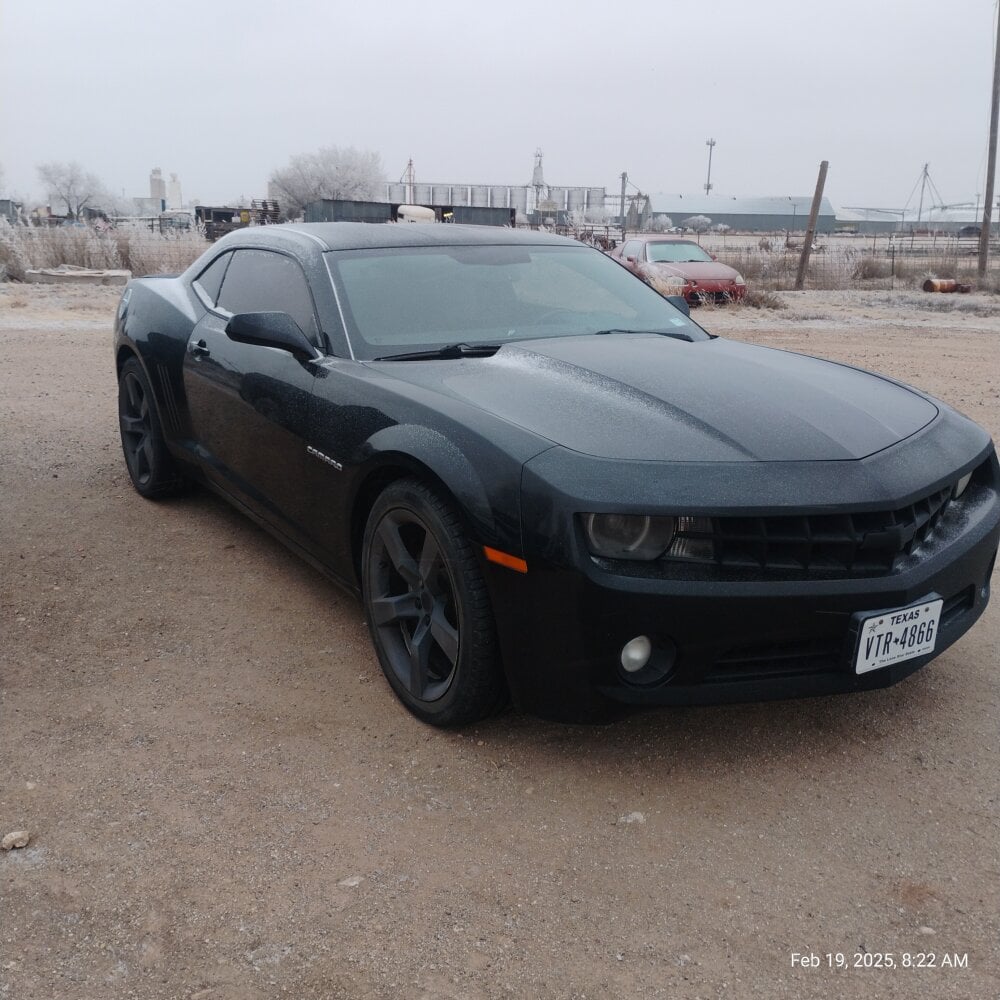 bearded_cross Chatroom