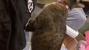 bigbb101011