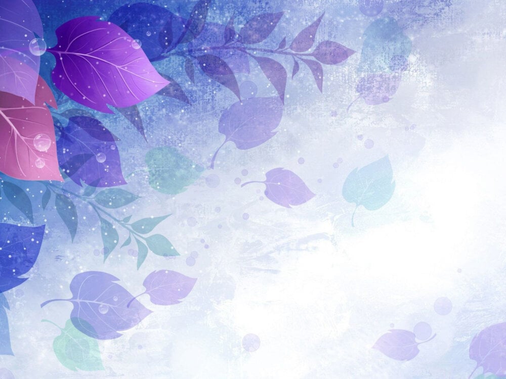 bigpennisboys Chatroom