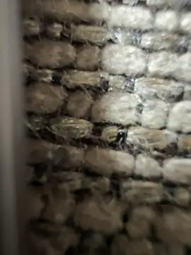 bigturkishdelight_003 Chatroom