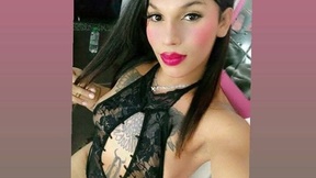 bunnytrans1