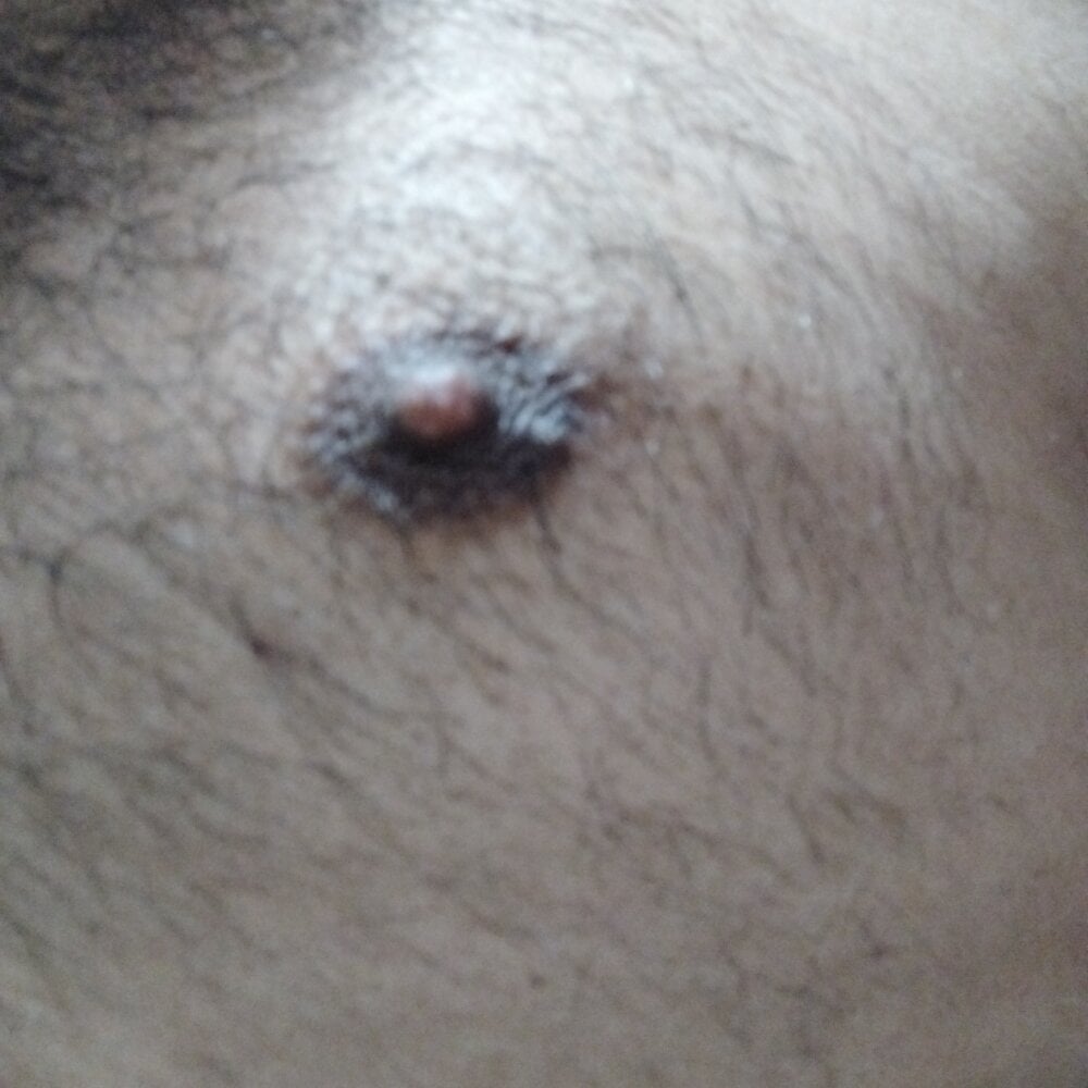 catopper0001 Chatroom