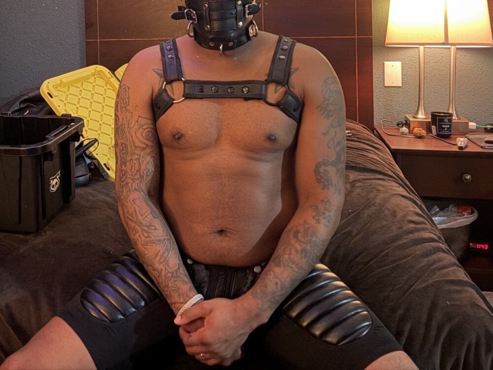 cosmiccloudpig Chatroom