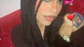 dahian_fox7