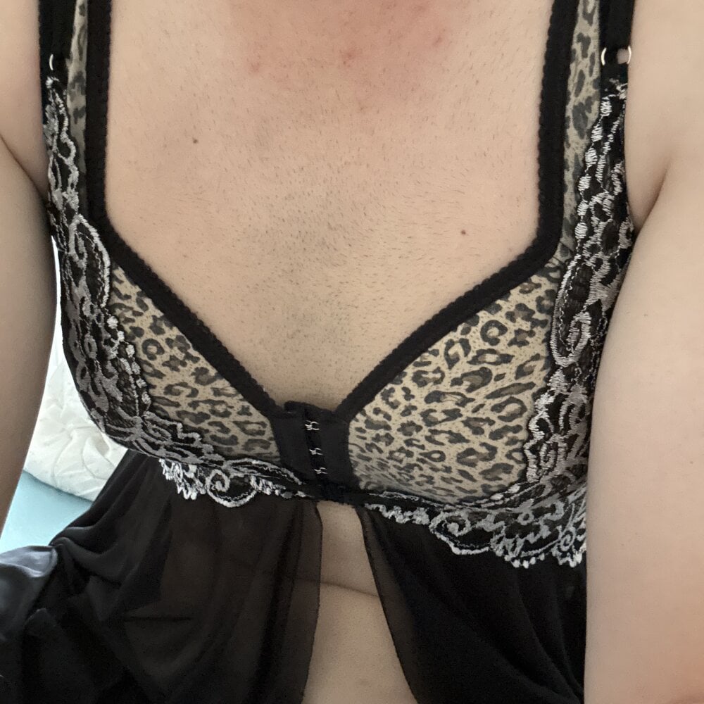 dwt_schwuchtel Chatroom