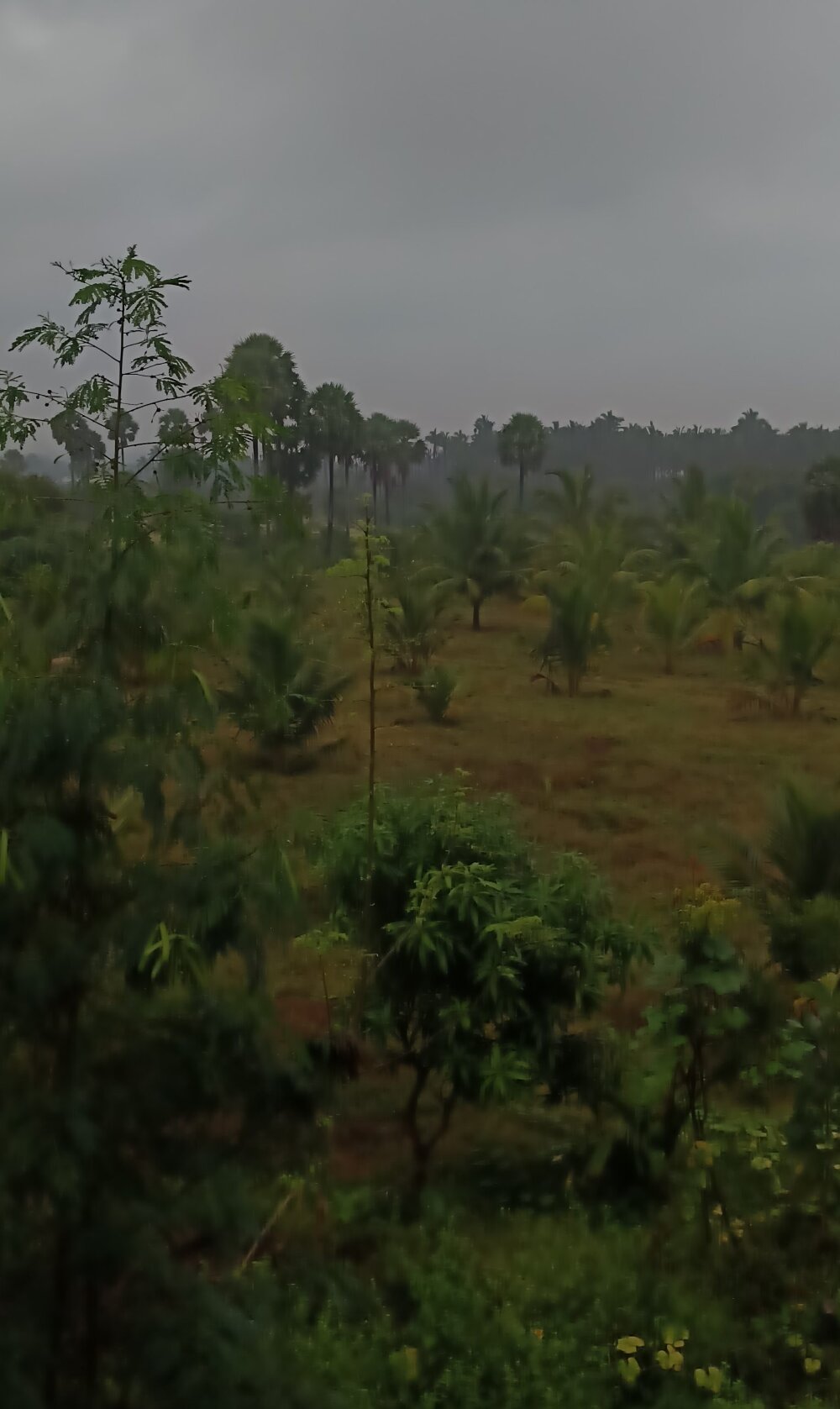 fall_for_me_love Chatroom