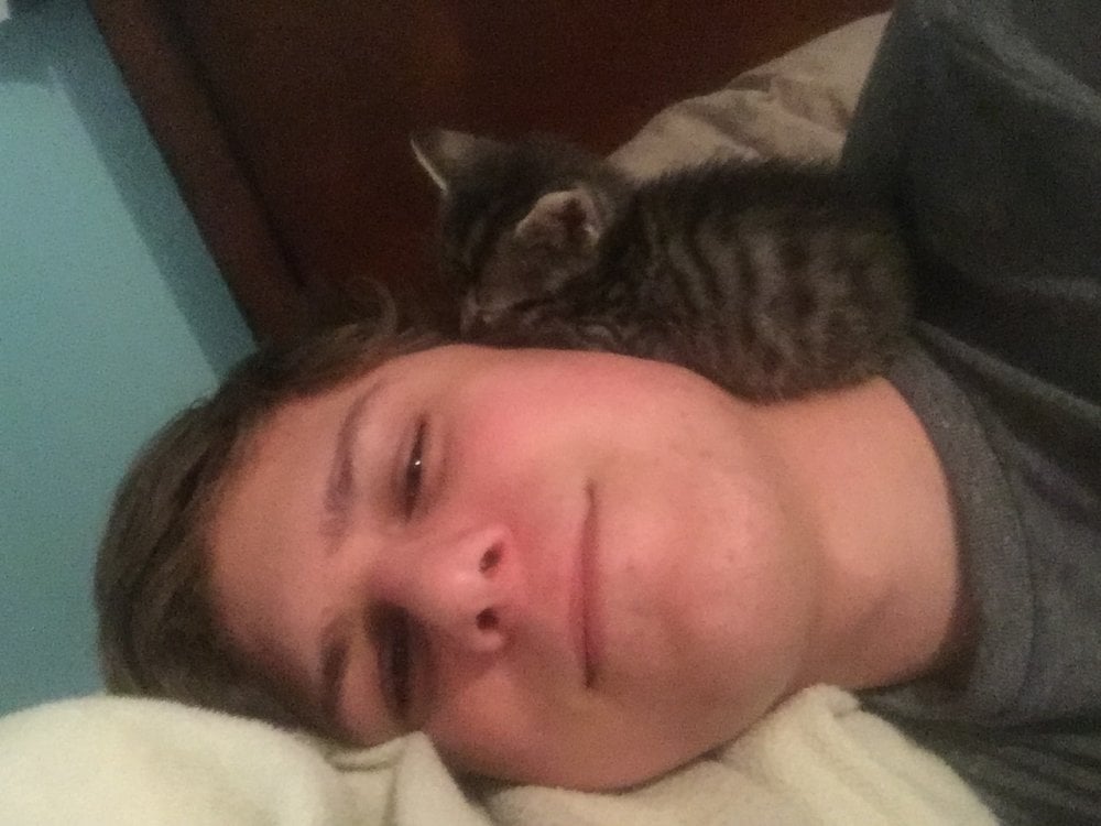 fappydaclown Chatroom