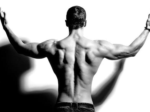 fede_bigcock Chatroom