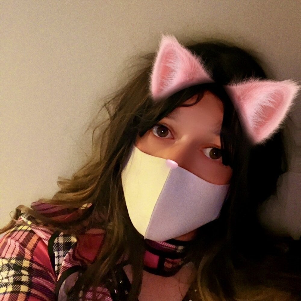 femboydani_x Chatroom