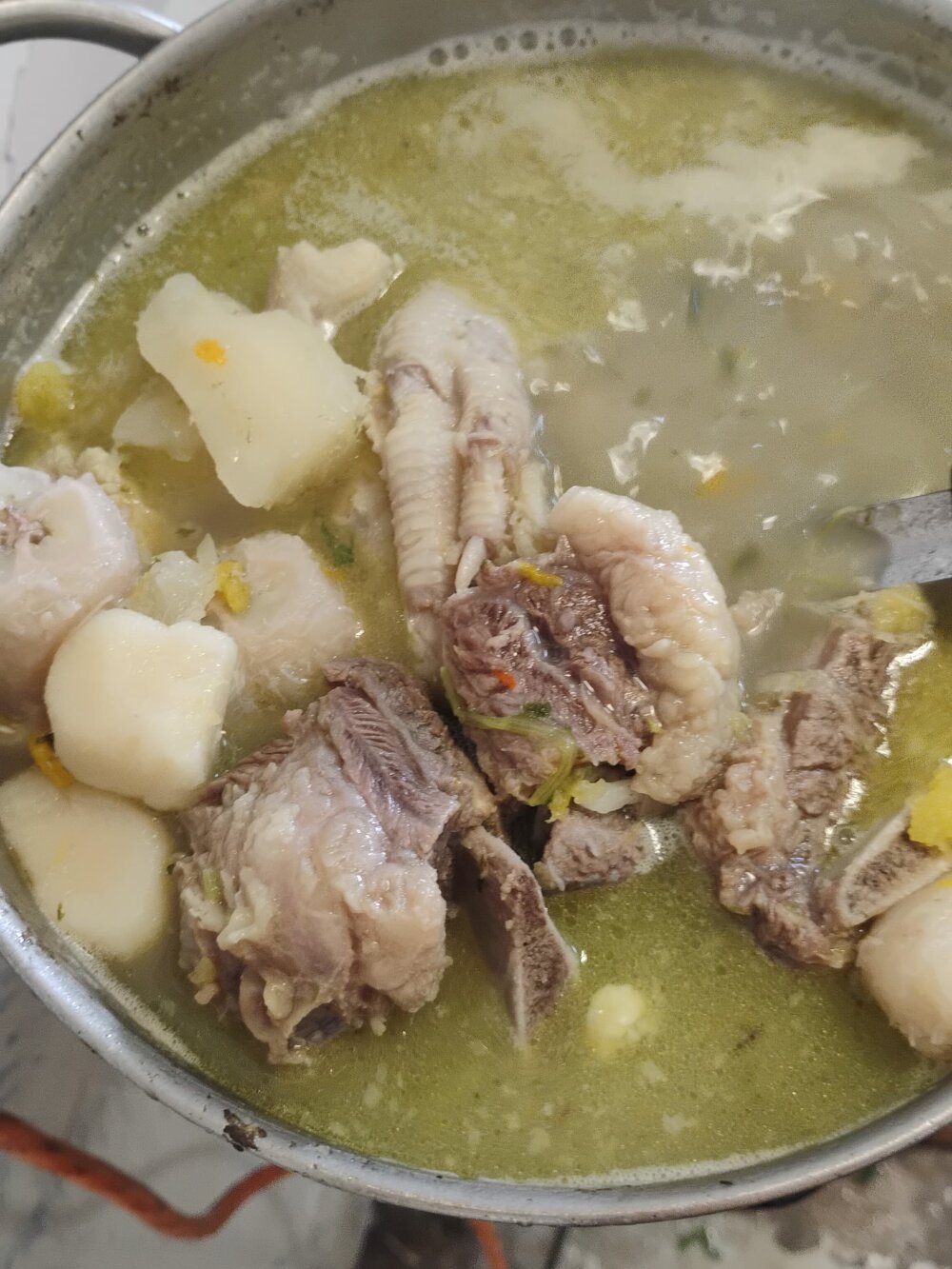 gaviotayleon Chatroom