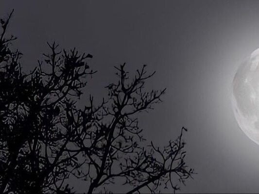 guynextdo0r Chatroom