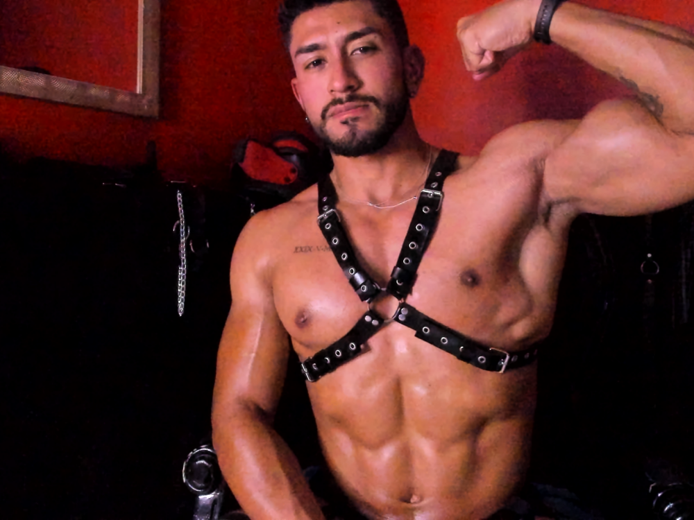 hommeerotic Chatroom