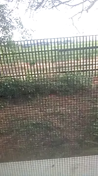 homo_erectus Chatroom