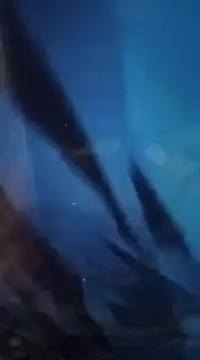 indianjhonny9123 Chatroom