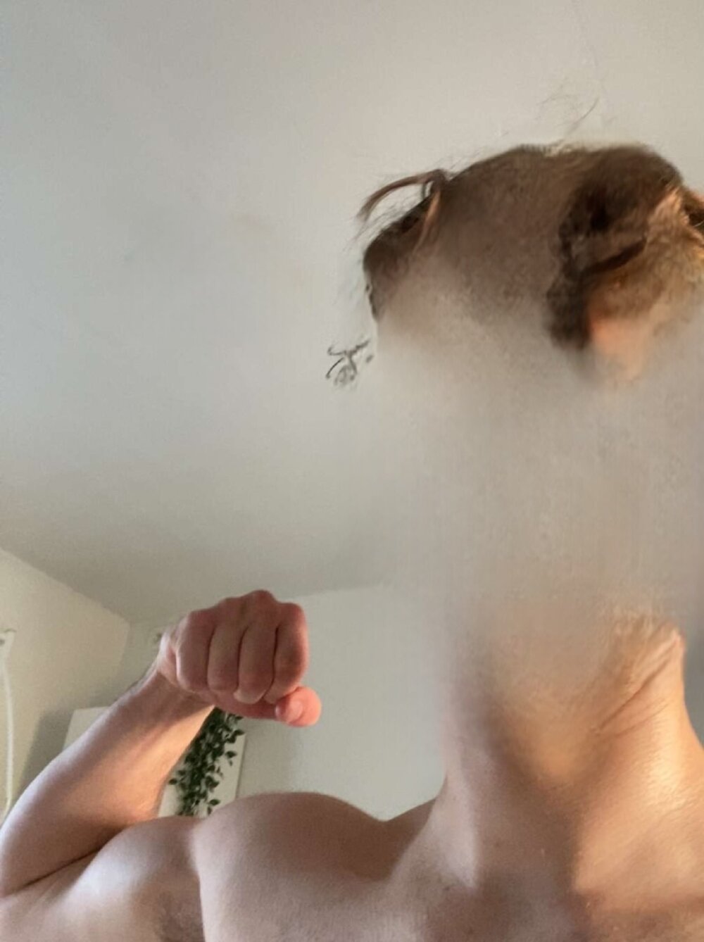 just20years Chatroom