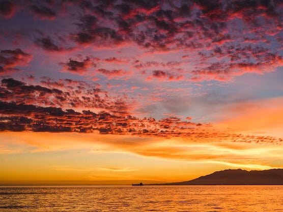 justconnect24 Chatroom