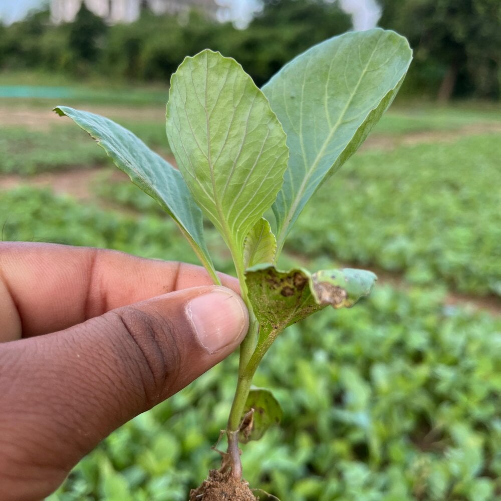 kavita_bhabi Chatroom