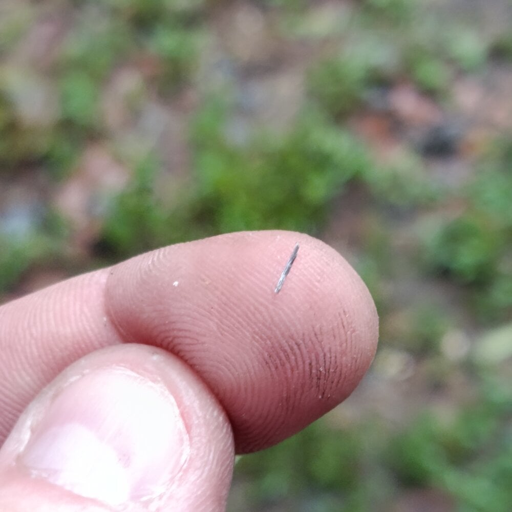 krysztalowy Chatroom