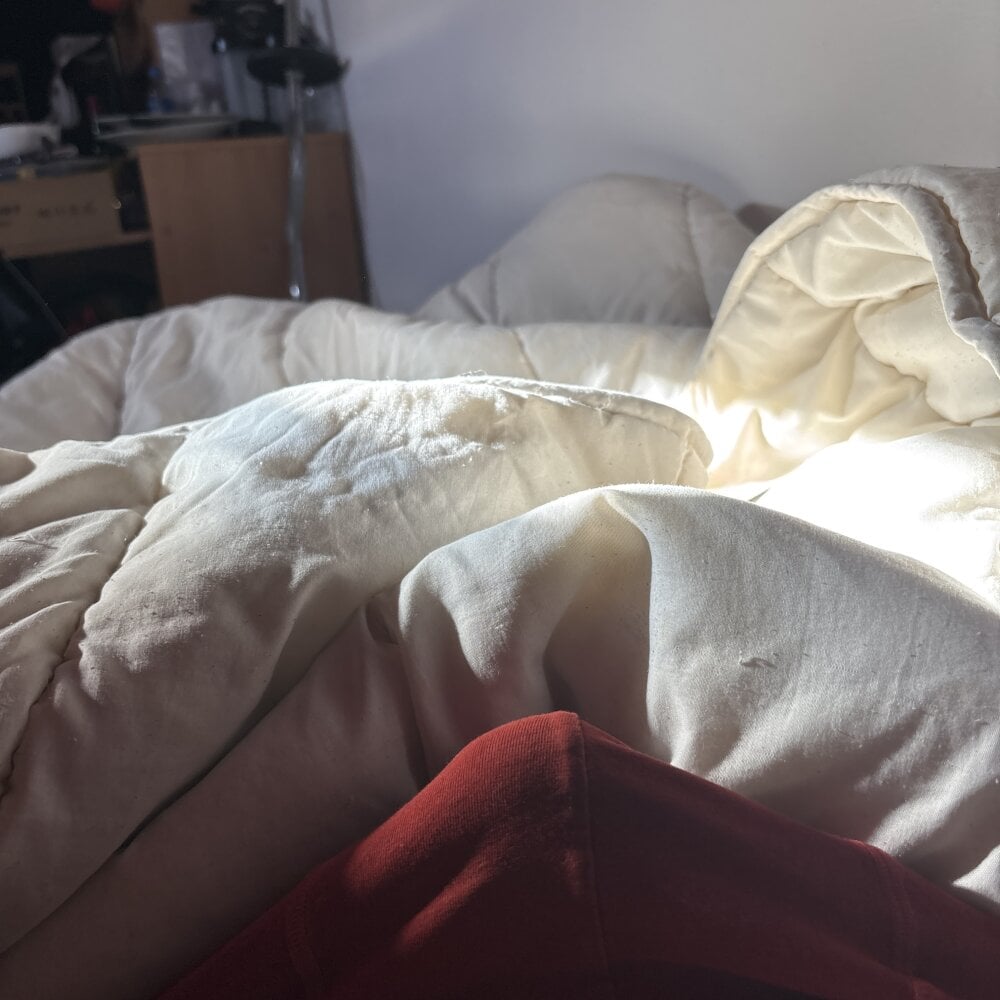 laroutine56backk Chatroom