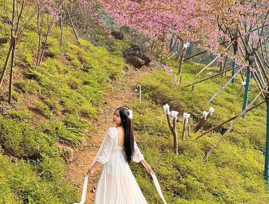 marylove-cc Chatroom