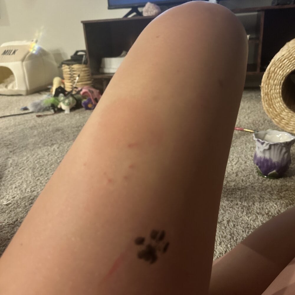 missygirlhi Chatroom