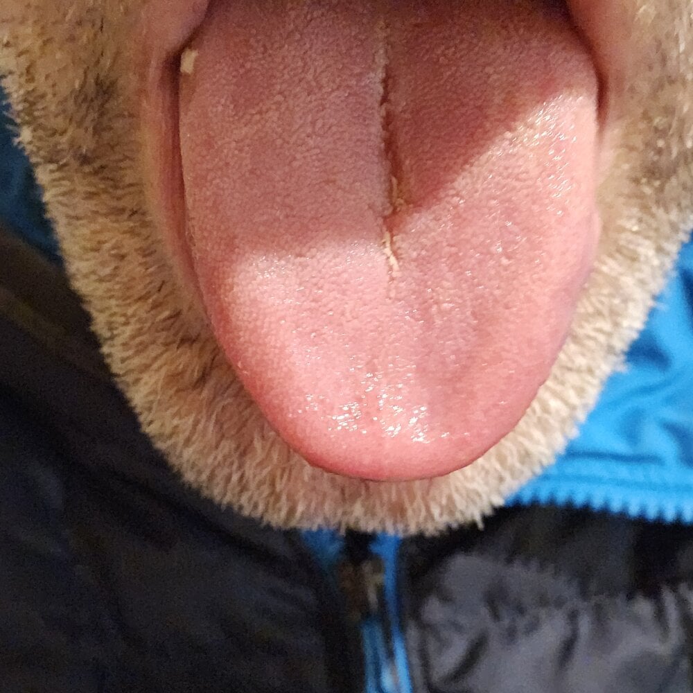 nympho4daddy Chatroom