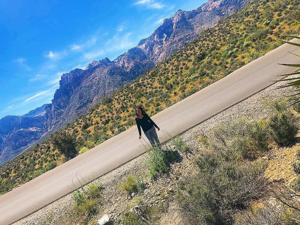 obeythesiren Chatroom