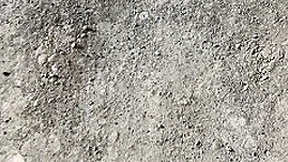 pedritolobito