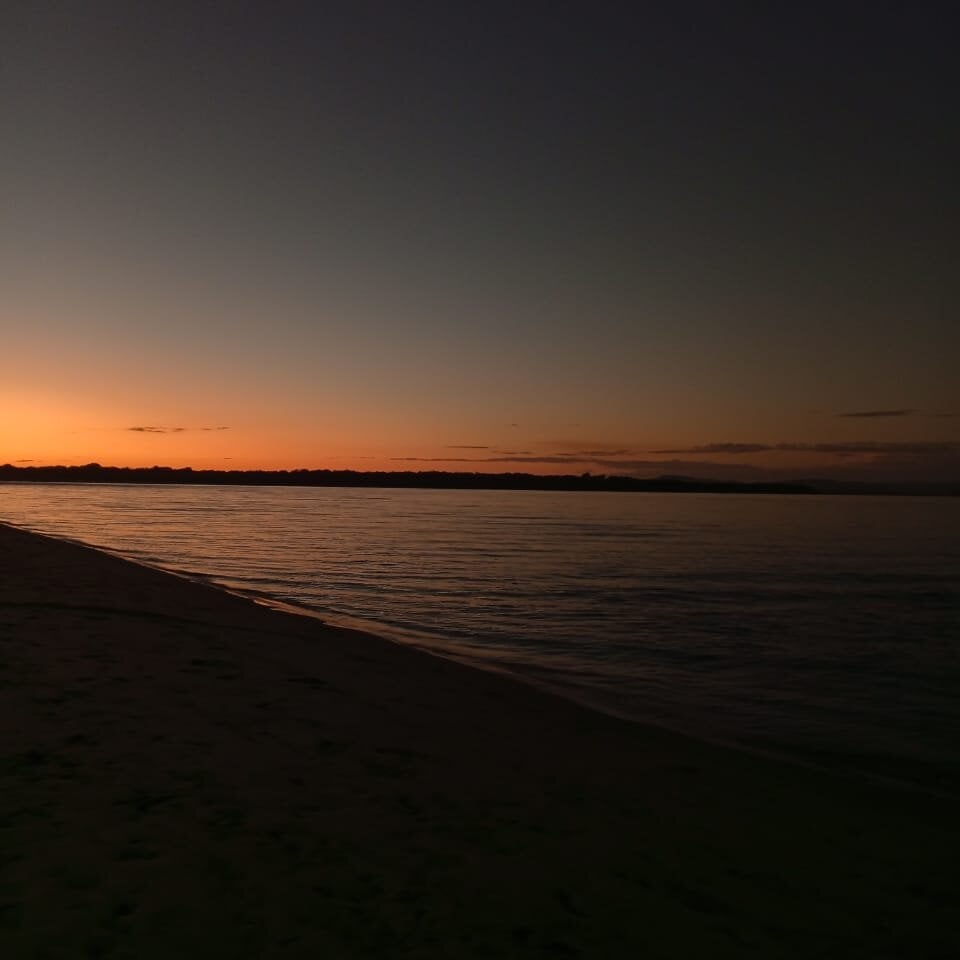 pollarica-18 Chatroom