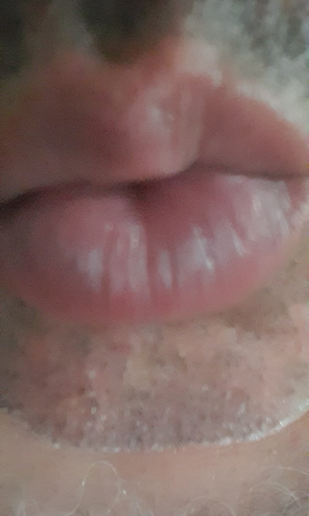 ratoncito_3 Chatroom