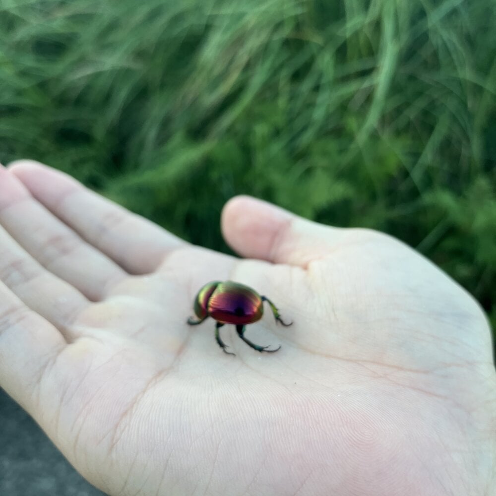 reon_reonreon Chatroom