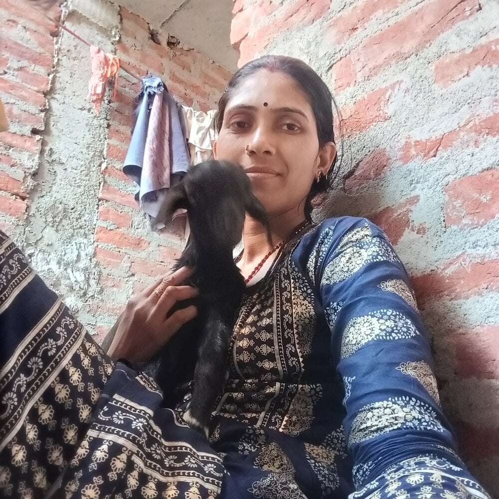 ruchigoutam Chatroom