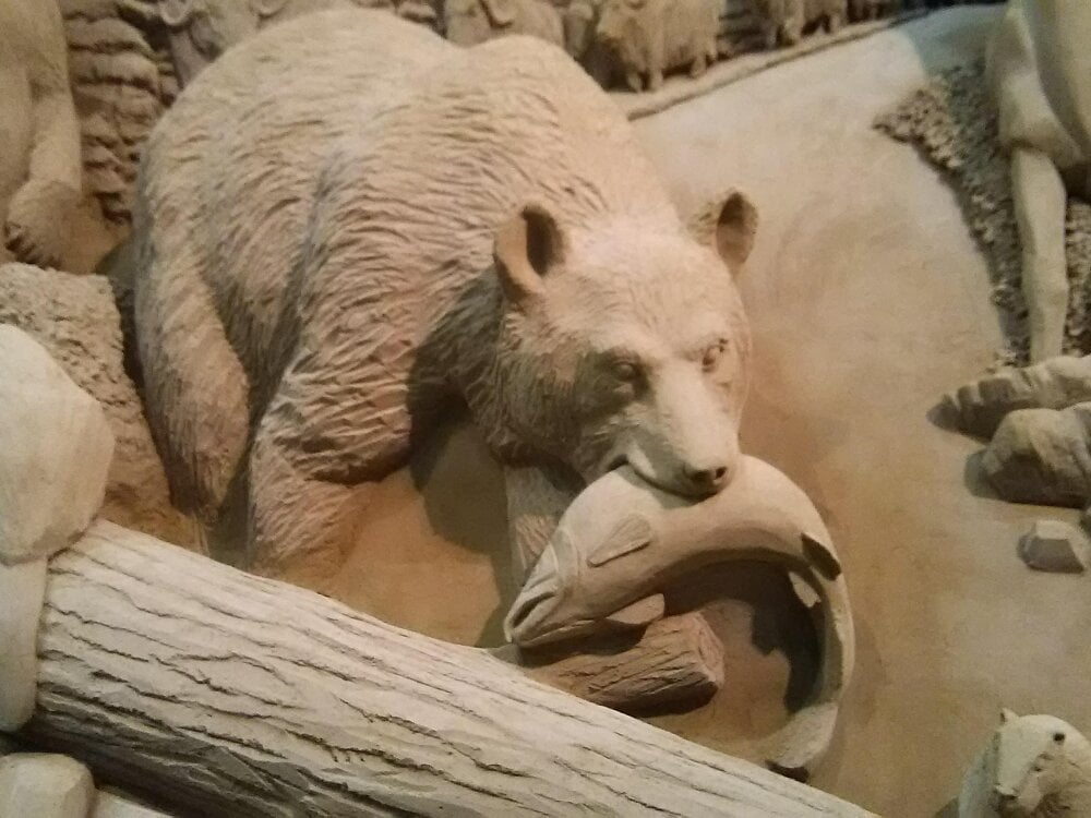 sho1101music Chatroom