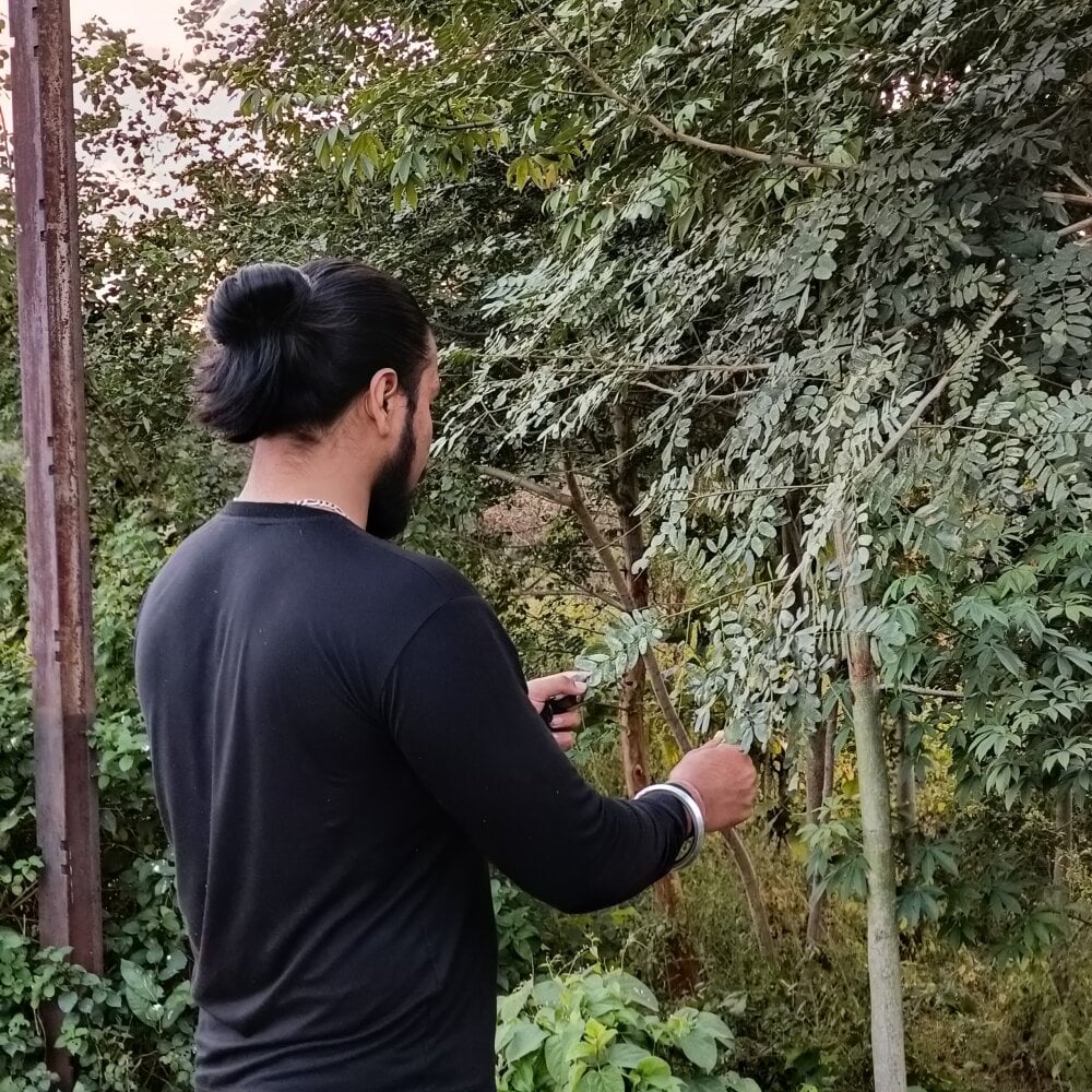 sitonmycock_ Chatroom