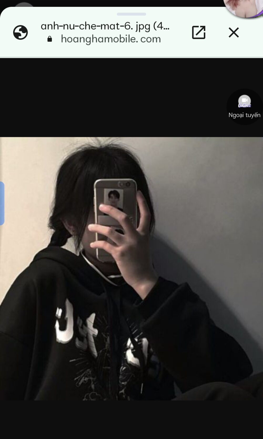 swallow-nice Chatroom