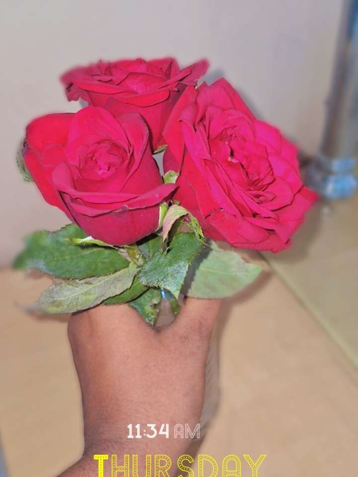 telugupilla0925 Chatroom