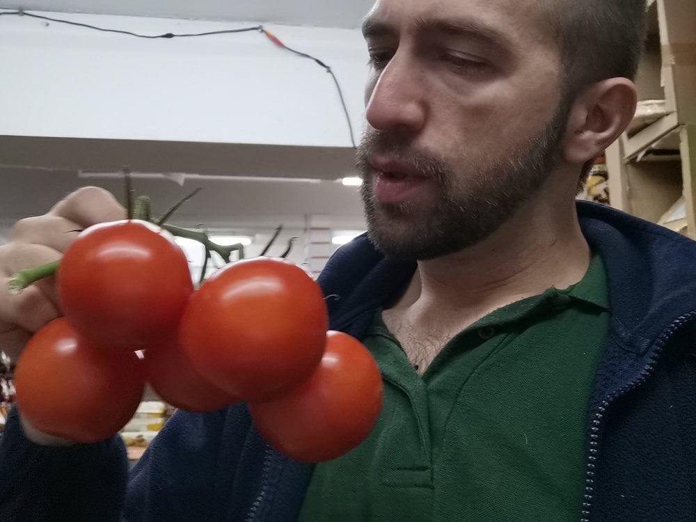 theSmallest-dick Chatroom