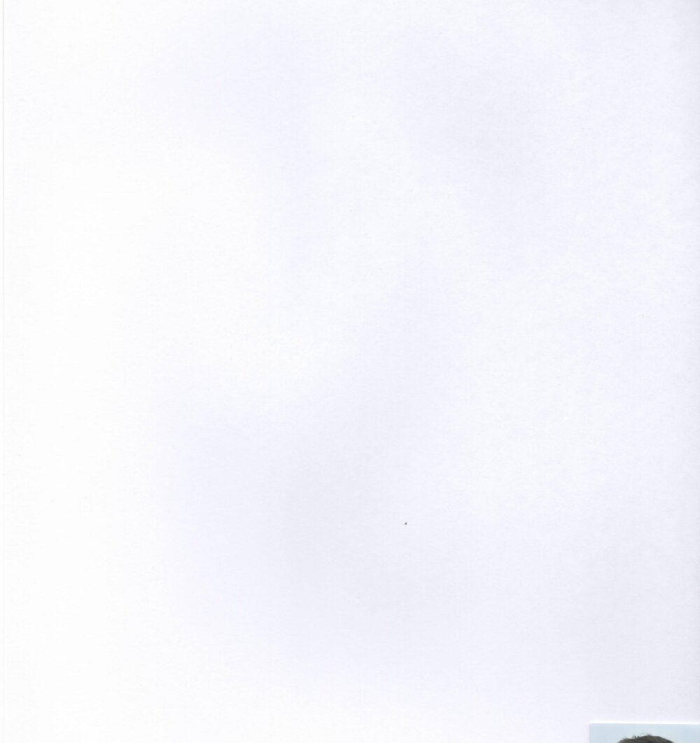 thekinkyscenerybott Chatroom