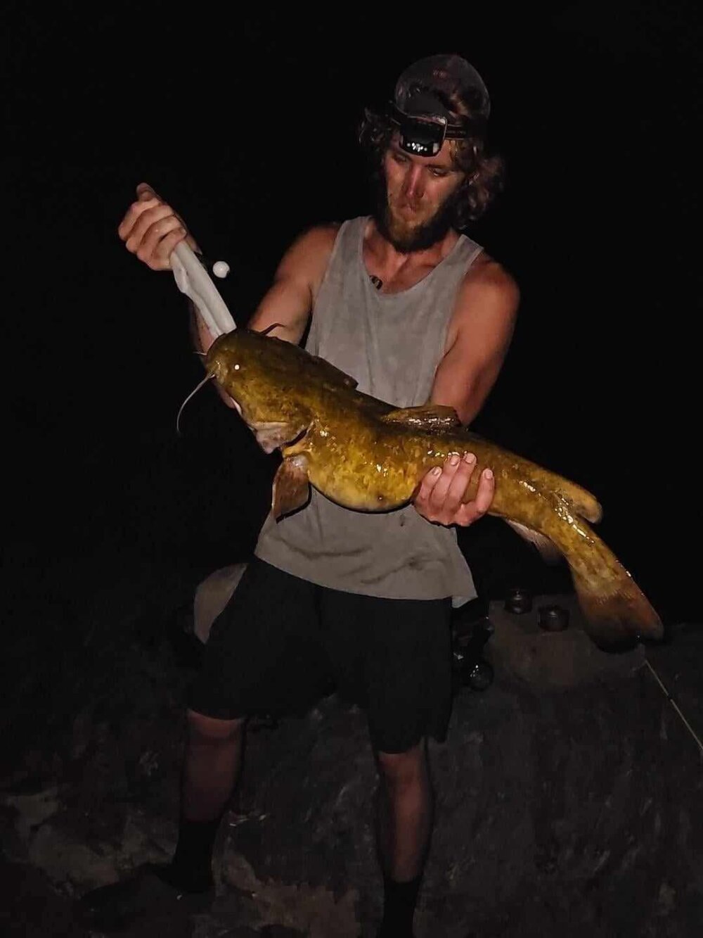 tmoneydick69 Chatroom