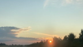 toro-el